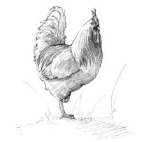 Product Image for Farm Box