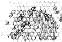 Product Image for Spring Farm Box