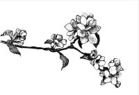 Product Image for Vinepair Top 50 of '25 - 3 Pack