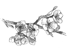 Product Image for Clare's Picks Spring Six Pack (Click Here for Contents)