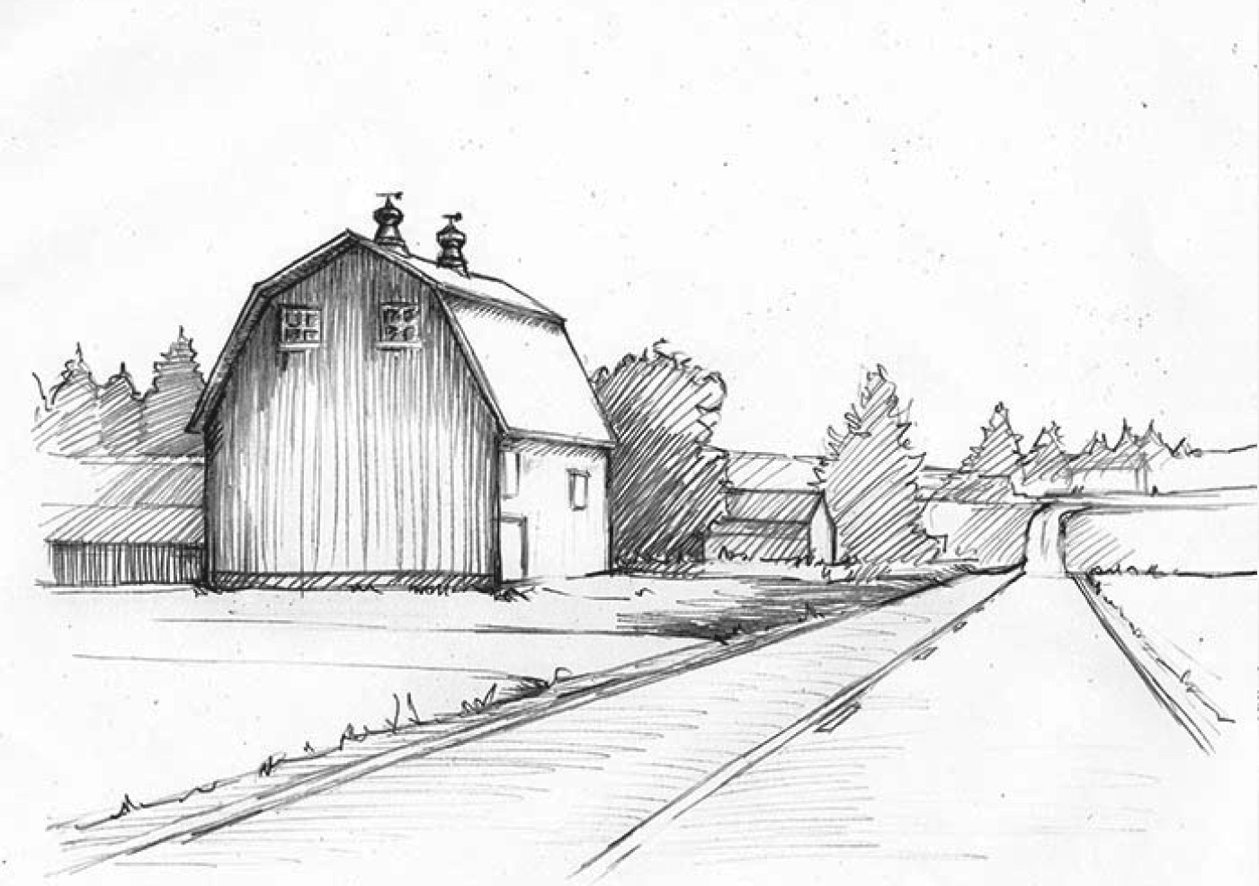 Product Image for 2024 Yamhill-Carlton Pinot Noir